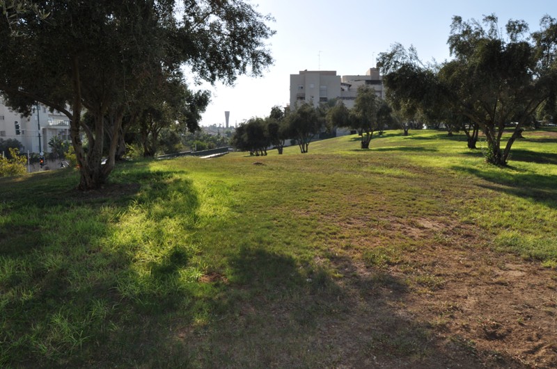 WhatsApp Image 2020-09-12 at 2.30.02 PM.jpeg.jpeg